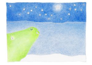 BoelGevoel - 'langste zoektocht' (small)